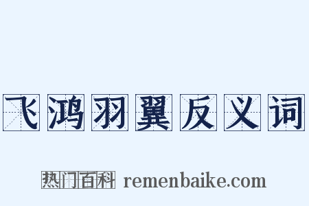 飞鸿羽翼反义词是什么意思的图片